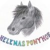 helenas ponyhof logo kreis